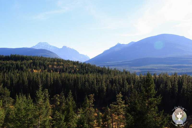 Blick über den Jasper National Park, Kanada