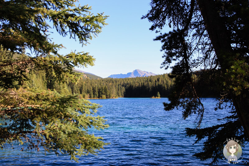 Der größte See im Valley of the Five Lakes, Jasper, Kanada