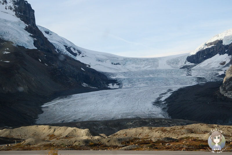 Blick auf das Columbia Icefield, Jasper National Park, Kanada