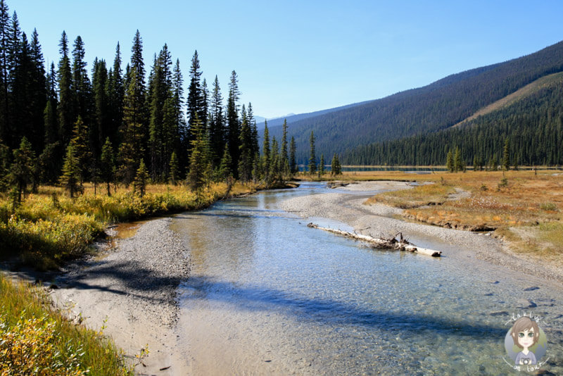 Am anderen Ende des Emerald Lake, Yoho National Park, BC