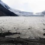 Eisfeld des Athabasca Gletschers, Alberta, Kanada