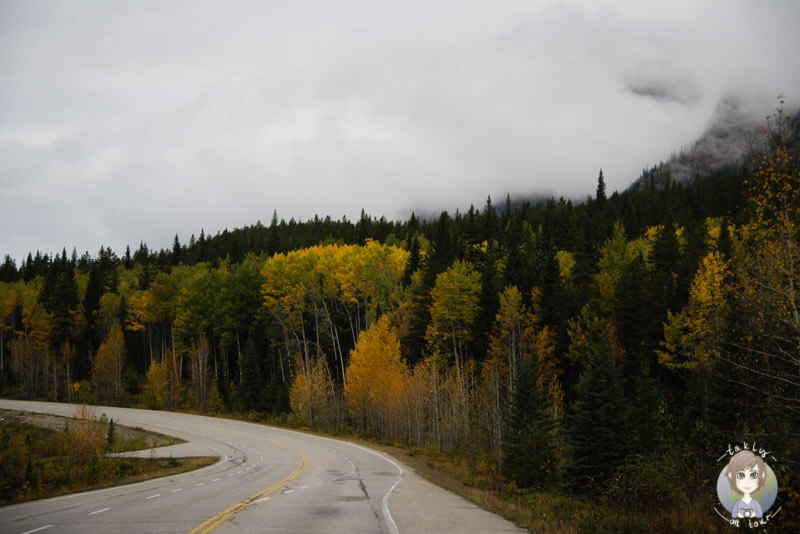 Der Icefields Parkway im Herbst in Kanada