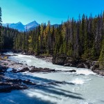 Blick über den Kicking Horse River