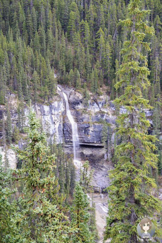 Die Bridal Veil Falls, Icefields Parkway, Kanada