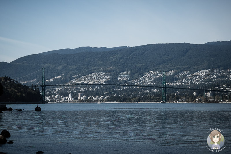 Blick auf die Lions Gate bridge vom Stanley Park, Vancouver, Kanada