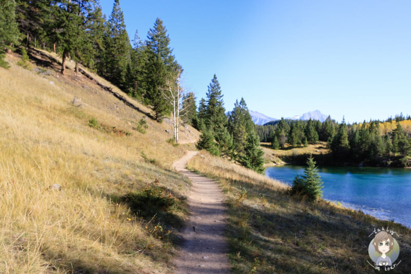 Der Wanderweg im Valley of the Five Lakes, Jasper Nationalpark, Kanada