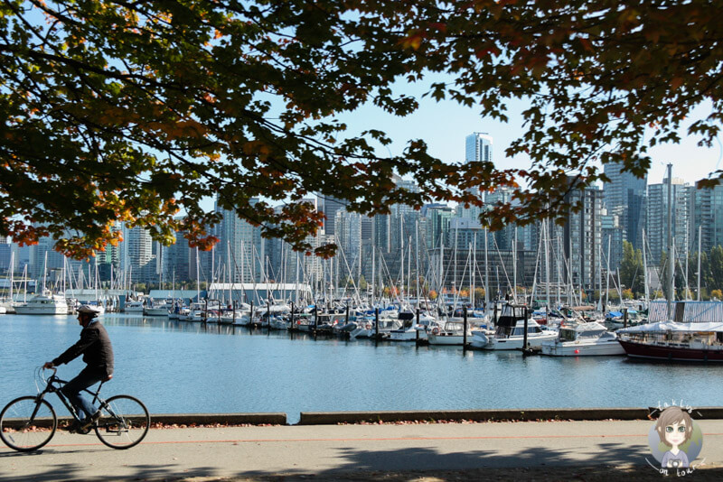 Der Stanley Park, das Paradies für Sportler und Fahrradfahrer