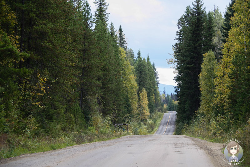 Fahrt durch den Wells Gray Provincial Park, BC, Kanada