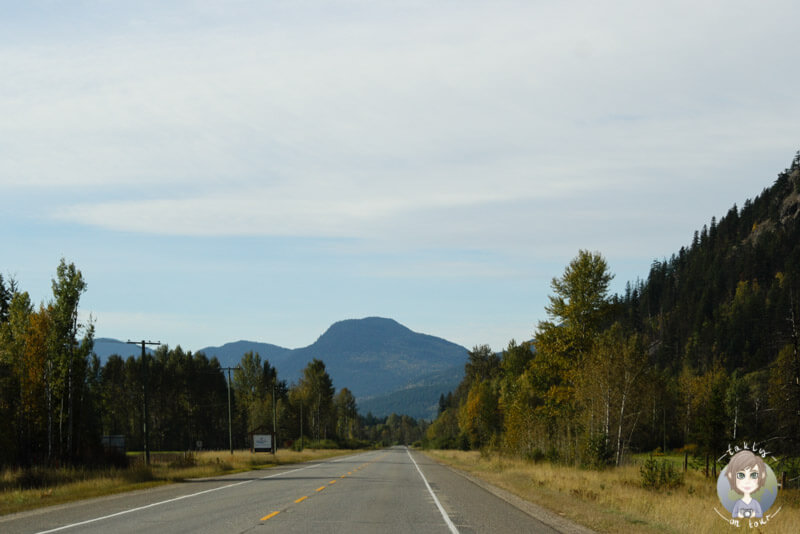 Fahrt durch den Wells Gray Provincial Park, BC, Kanada