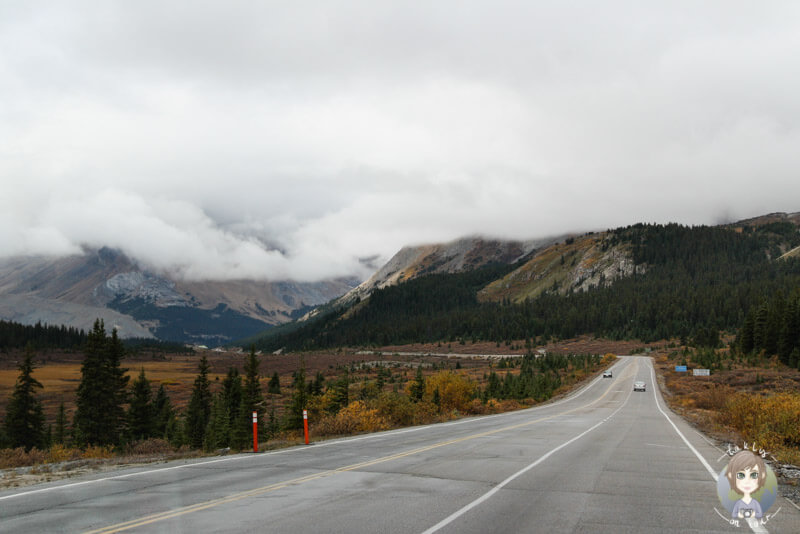 Die letzte Strecke Richtung Columbia Icefield Center, Icefields Parkway, Kanada