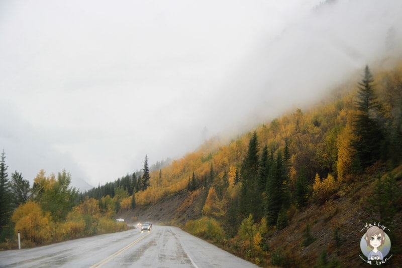 Die Traumstraße von Kanada, der Icefields Parkway im Regen