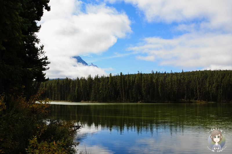 Der Leach Lake in Jasper, Kanada