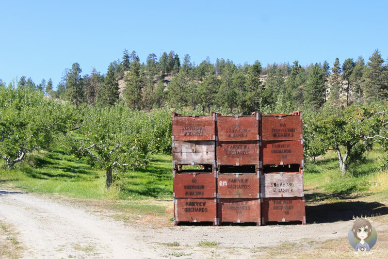 Obstkisten in Summerland, BC, Kanada
