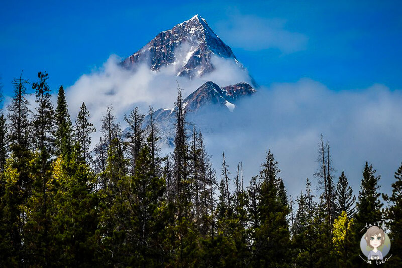 Eine beeindruckende Landschaft entlang des Icefields Parkway, Kanada