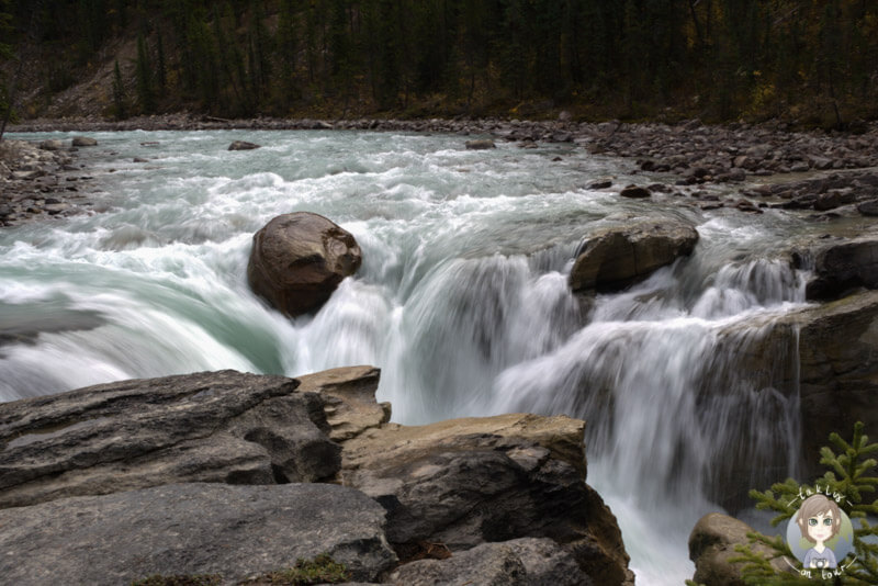 Die Sunwapta Falls, ein schöner Stopp auf dem Icefields Parkway