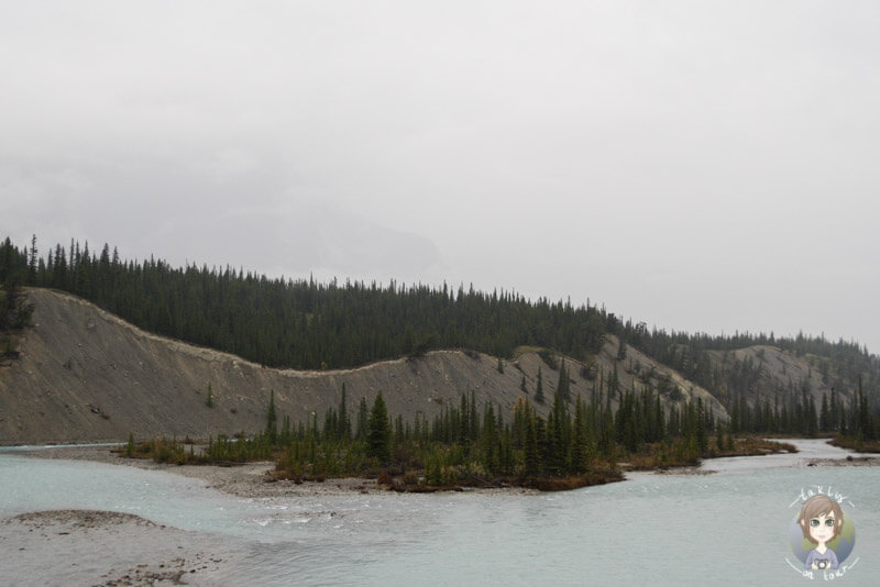 Der beeindruckende North Saskatchewan River, Alberta, Kanada