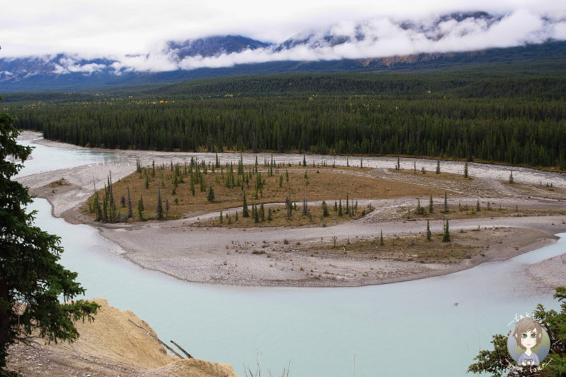 Ein Viewpoint auf dem Icefields Parkway, Alberta, Kanada