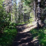 Wanderung am Emerald Lake, Yoho National Park Kanada
