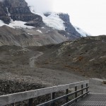 Der steinige Weg zum Athabasca Gletscher, Kanada