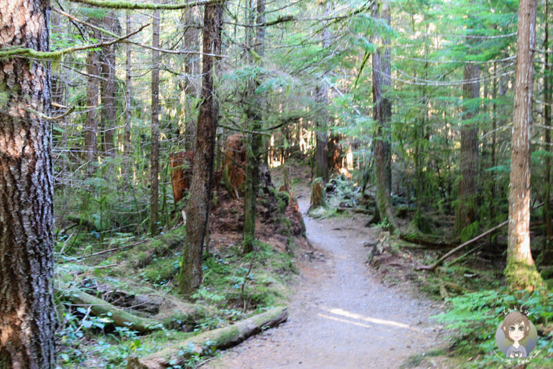 Wanderung zum Stump Lake, BC, Kanada