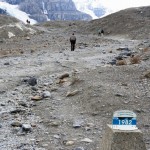 Jahreszahlen am Athabasca Glacier