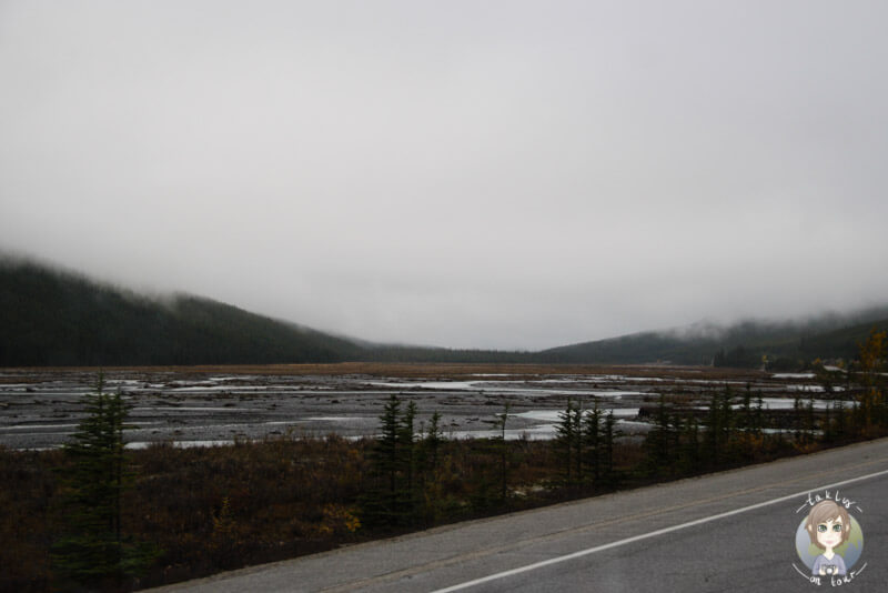 Schlechtes Wetter auf dem Icefields Parkway, Kanada