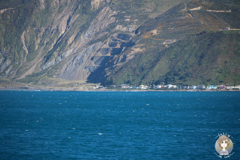 Die Evans Bay nahe Wellington
