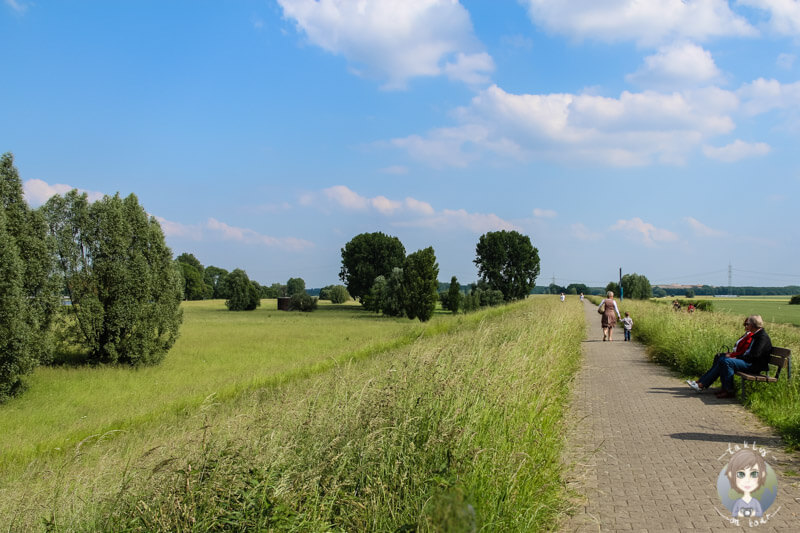 Wunderschöner Spazier- oder Fahrradweg über den Deich in Zons am Rhein