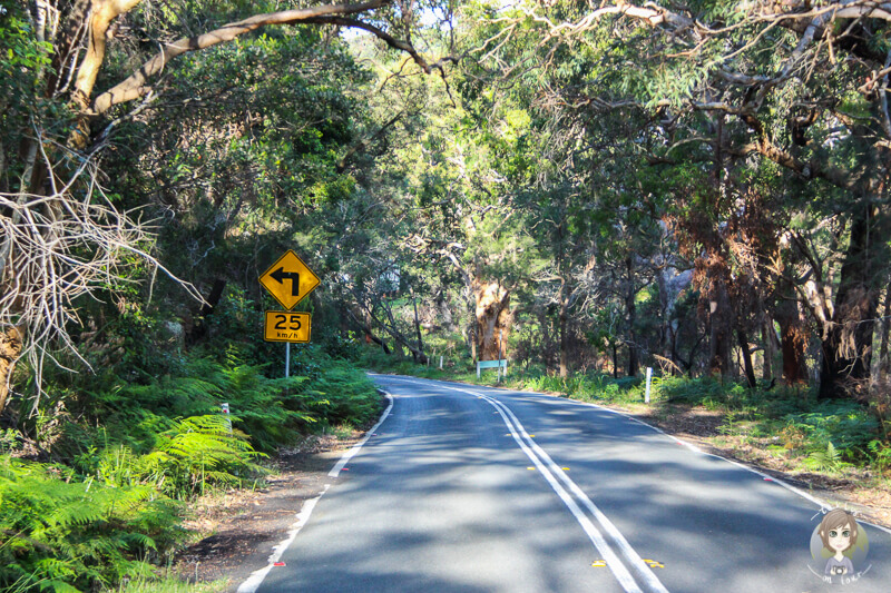 Fahrt Richtung Sydney, NSW