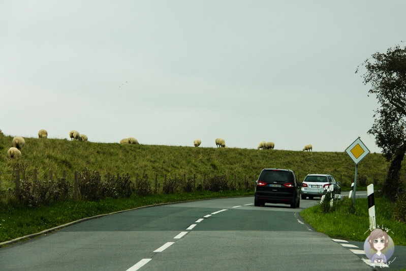 Auf der Fahrt durch Ostfriesland, Deutschland