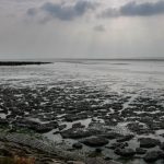Das Watt von der Nordsee in Campen