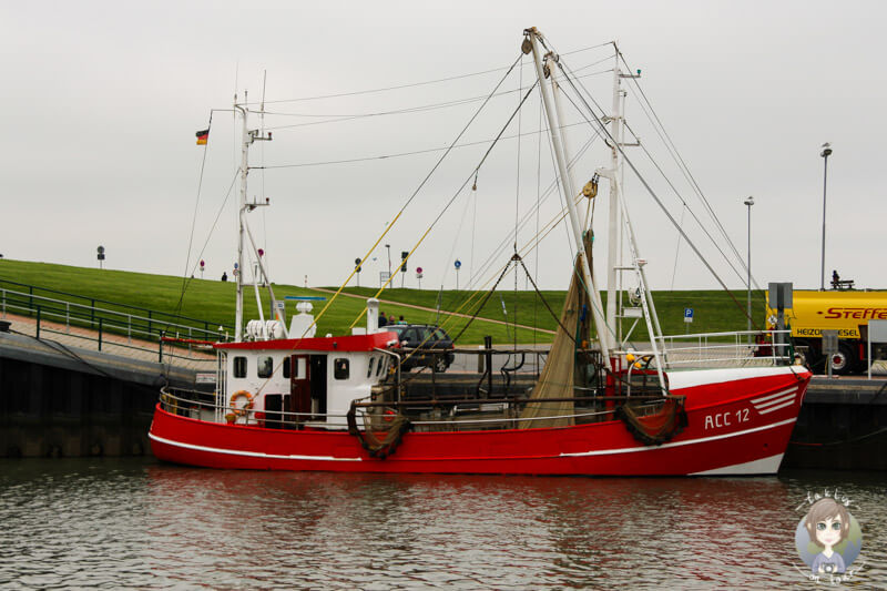 Ein Kahn ihn Dornumersiel, Ostfriesland