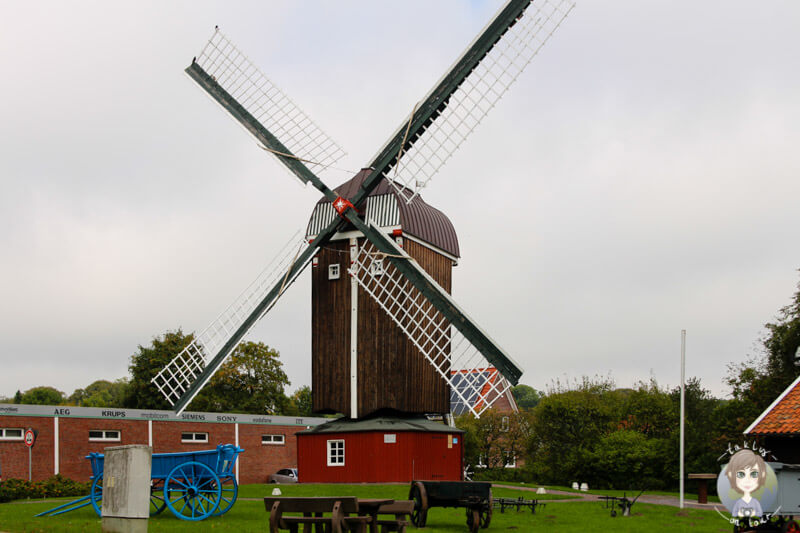 Eine Mühle in Dornum, Ostfriesland