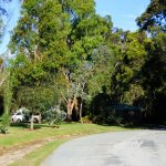 Powernap Area am Franklin River in Toora, Australien