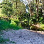 Blick auf den Franklin River, Victoria, Australien