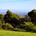 Eingeschränkte Aussicht am Scenic Lookout am South Gippsland Highway, Victoria