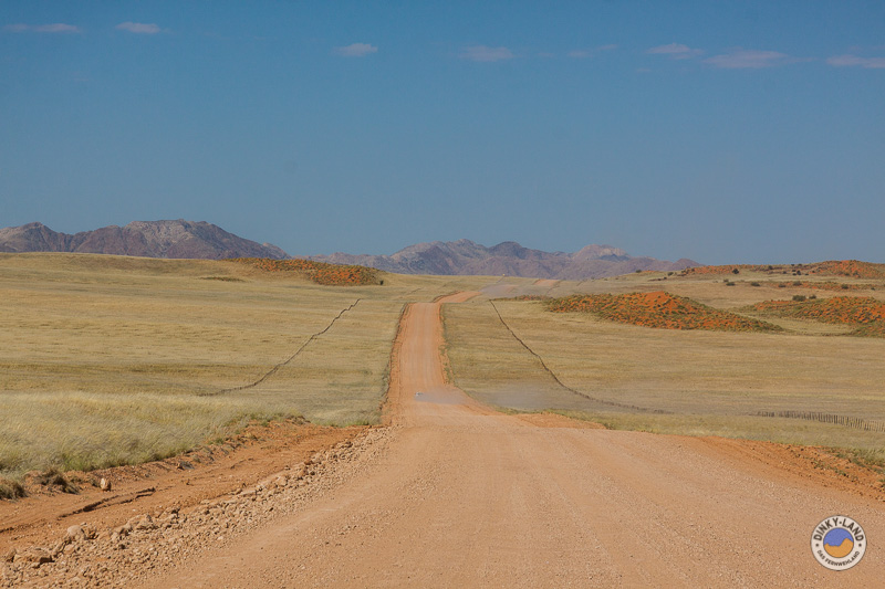 Eine einsame Strasse in Namibia auf dem Weg nach Sesriem beim Camping in Namibia