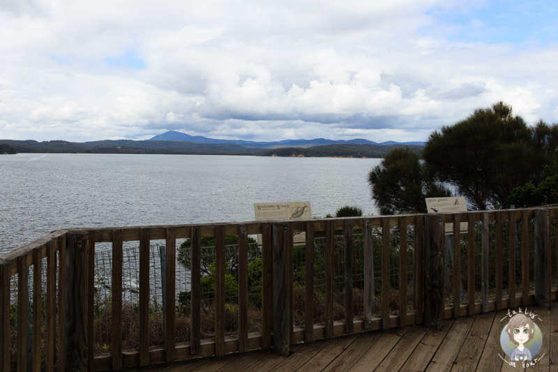 View from the Rotary Park Lookout, Eden