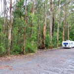 Camping in der Thurra River Rest Area, New South Wales; Australien