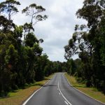 Fahrt über den South Gippsland Hwy in Victoria, Australien