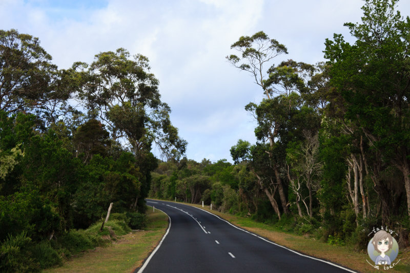 Fahrt über die Wilsons Promontory Road, Australien