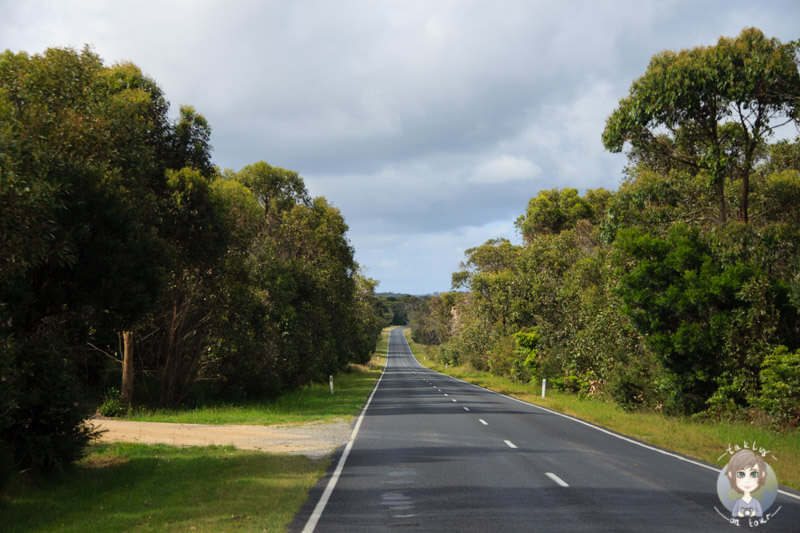 On the way to the Wilsons Promontory Nationalpark