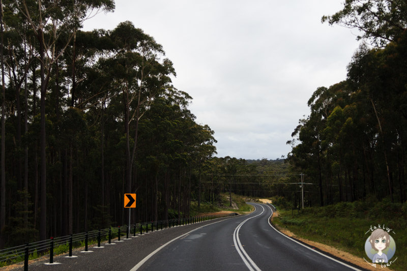 Fahrt über den Princes Highway in Victoria, Australien