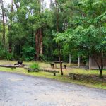 Feuerstelle und Picknickplatz in der Thurra River Rest Area, NSW, Australia