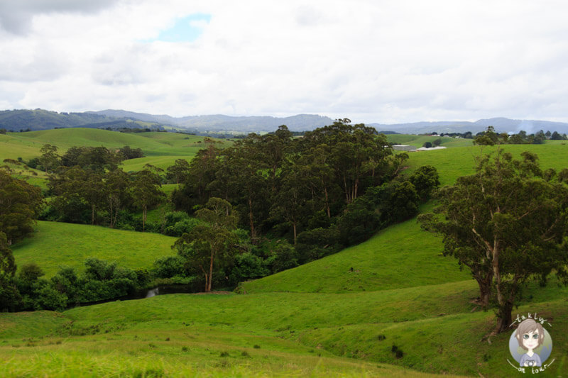 Grüne Hügel in Toora, Victoria, Australien