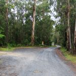 Schöne Lage zum Übernachten in NSW, Thurra River Rest Area