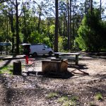 Schöner Stellplatz im Bodalla Forest Park, Australien