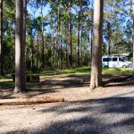 Schön weit entfernte Campsites im Bodalla Forest Park