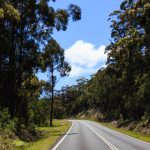 Fahrt über den Princes Highway