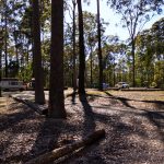 Wunderschöner Camingplatz im Bodalla Forest Park, New South Wales